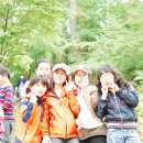 현북초등학교 이미지