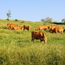 다움농장 이미지