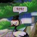 비룡 이미지