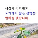 건강한오늘