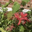 삼계초등학교 이미지