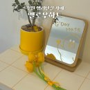 수원 행궁동카페 옐로우하트 행리단길핫플