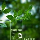 363, 손흥정이 있었다, PL 득점왕 Sonny 에겐 이미지