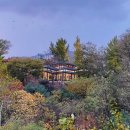 큰숲작은도서관 이미지