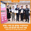 아이룬 이미지