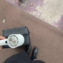 소로3-145 | 👸 공주 왔다 감 : 1일차