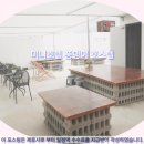 미니호텔풍뎅이