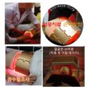 라파전위 이미지