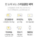 크리스피올리브 이미지