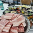 존냉삼