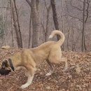 황제농장2 이미지