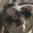 돌쇠농장 이미지