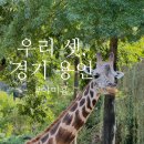 일야미어린이집 | 27개월 아기와 서울 근교 1박2일 국내 여행 용인 에버랜드 (1) 숙박 편 라마다 용인 호텔