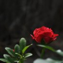 2011년 10월 1일 봉사결산 이미지