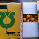 항균농장 이미지