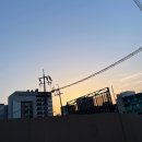 신양꼬치 마라탕 이미지