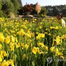 천리포수목원 이미지