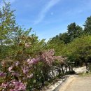 인생한의원 이미지