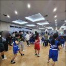 골든보이복싱체육관 이미지