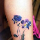 영덕사랑동물병원 이미지