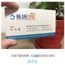 아이비수선