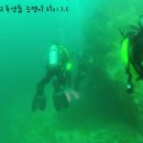9/8 삼척 추암다이브리조트 이미지