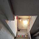 원샷PC | 서울 성수동 뚝도청춘시장 맛집 비어도