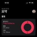 얌샐러드