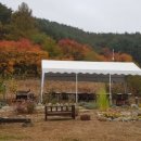 산수미 이미지