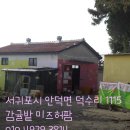 감귤밭 미즈허팜