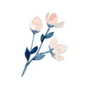 새잎한약국 이미지