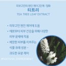 상분이스킨