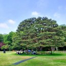 새하림각 | 靑瓦臺 방문 후기/문남선