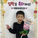 청출어람태권도장 네이버블로그