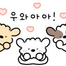 도토네일
