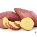 퀸스 휘트니스 이미지