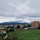 샛도리물 이미지