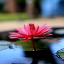 당신의 인생사진 이미지