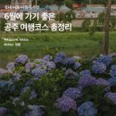 너울푸드
