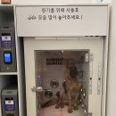 올리스 24 이미지