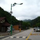 태백고원자연휴양림 이미지