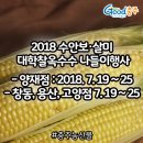 농협살미 이미지