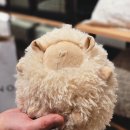 (주)월드컬렉션 | 롯데월드몰 자라홈(ZARA HOME) 리뉴얼오픈 후기: 크리스마스 감성 충전