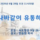 2026.06.28. 바나바같이 유통하라 이미지