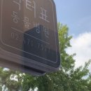 닥터표동물병원 이미지