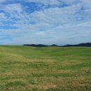 김종필농장 이미지