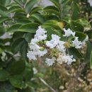 양정1동-28 이미지