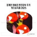 포밍아트 | 청계천 잉어킹 완전정복 후기 빛초롱축제 2025