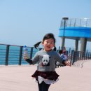 학 농장 이미지