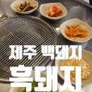 제주흑돼지백돼지 | 제주 흑돼지 백돼지 어떻게 구별하지?